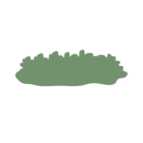 Illustration d'un buisson page réservation et tarifs